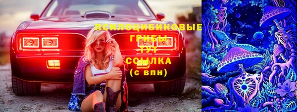 apvp Балабаново