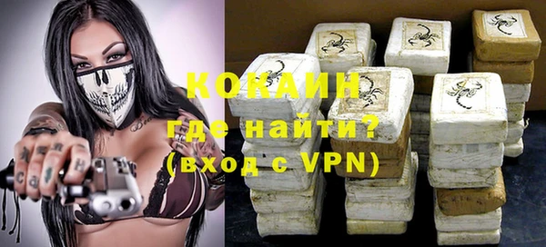 молекула духа Арсеньев