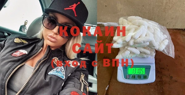 молекула духа Арсеньев