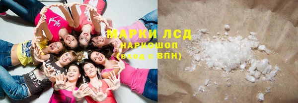 молекула духа Арсеньев