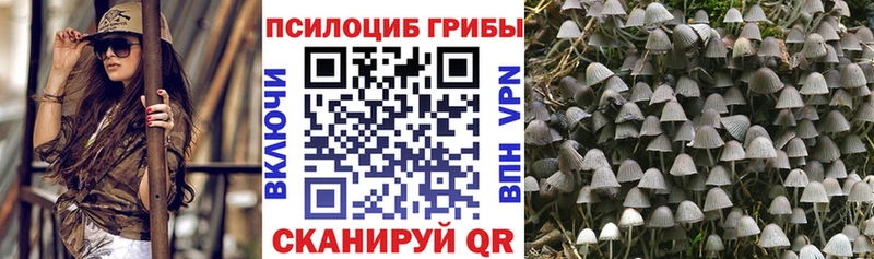 Галлюциногенные грибы Psilocybe  наркота  Ленск 